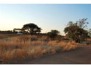 Commercial Property - New Developments and Stands