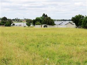 Large stand near the Vaal Dam in Oranjeville