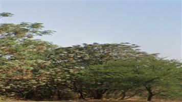 "Build Your Dream Home in Vaalpark â Prime Vacant Stand Available!"