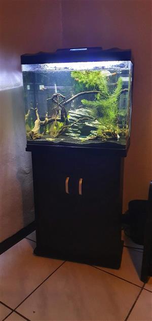 66L Aquarium fish tank + extras
