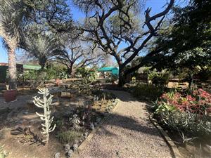 House For Sale in Mookgopong