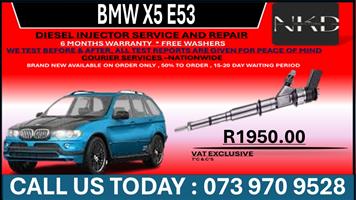 BMW X5 E53 Diesel Injectors 