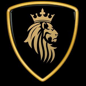 Exotic Car Rentals