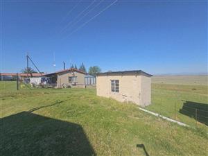 Farm For Sale in Ladybrand