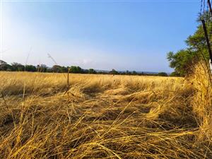 Vacant Land Residential For Sale in Modimolle
