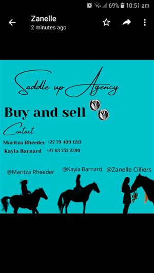 Buying and selling of horses
