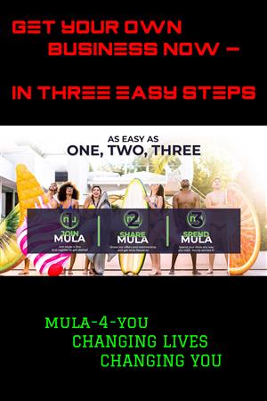 Start your Own Business Today with Mula-4-You in Three Easy Steps