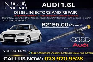 Audi 1.6L(Repair)Diesel Fuel Injectors 