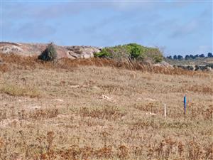 Elevated Plot with Lagoon and Greenbelt Views