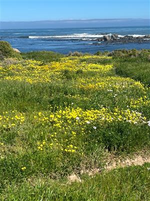 Dont miss out to secure your place in the beautiful coastal village of Jacobsbaai.