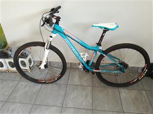 silverback ladies mountain bike