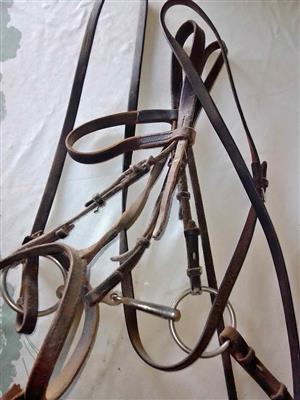Horse bridle and reigns