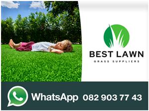 Fresh Kikuyu an LM Grass available