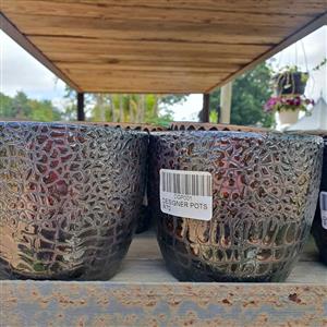 Designer Indoor Pots.  GARDEN MARKET PLACE  NO 1 Gardens Road. HILLCREST