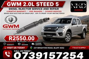 _GWM_2.0L_STEED_5_Diesel_Fuel_Injectors 