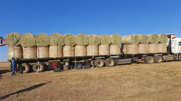 Eragrostis bales – Round / Big (For Sale) 