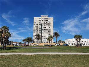 Sea Views Forever – Watch the Bay Come Alive