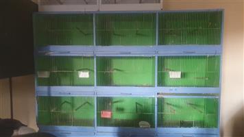 Budgie cages