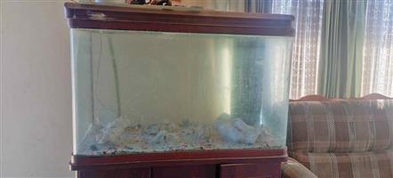 150 Gallon Fish Tank with Cabinet including for sale