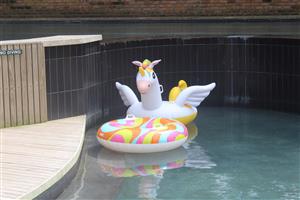 PLANTATIONS - NEWEST RELEASE IN ELALENI