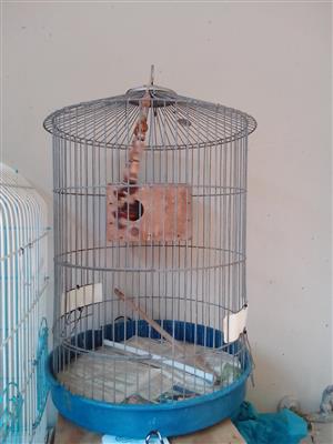 Bird cage for sale