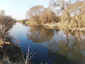 Farm For Sale in Witkop