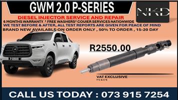 Recon Diesel Injectors GWM 2.0L P-Series 