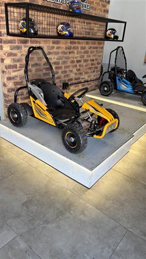 100cc Tao motor petrol 4 stroke go-karts - new