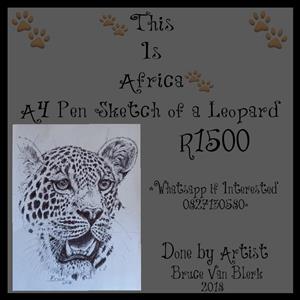 A4 Pen Sketch of a Leopard 