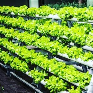 Start your hydroponic business from your property today!