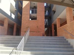 NEW MODERN DEVELOPMENT