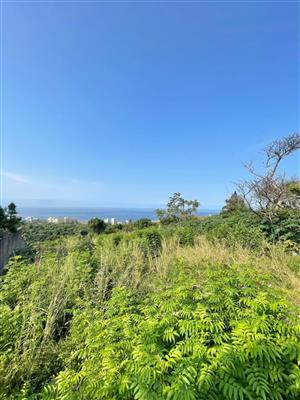 Vacant Land Residential For Sale in BALLITO