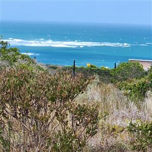 Seaside Serenity – Prime Plot & Plan Opportunity in Skulpiesbaai