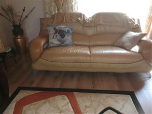Ufo 6 Seater Junk Mail