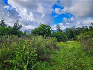 Vacant Land Residential For Sale in Wilderness Heights