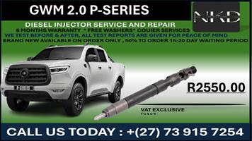 GWM 2.0L P-Series Diesel Injectors 