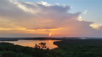 Vacant stand for sale