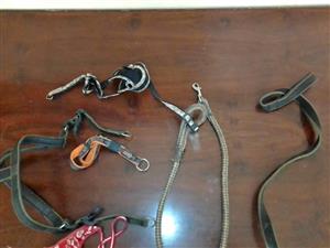 Dog leashes and harnesses.The lot 