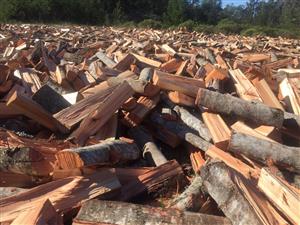 Affordable Braai Wood / Firewood for sale