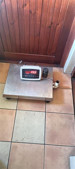 Platform Scale 
