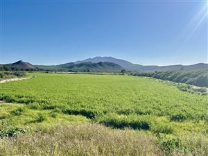 Farm For Sale in Ladismith Rural