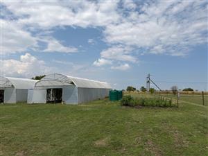 Plot for sale in Metsimaholo