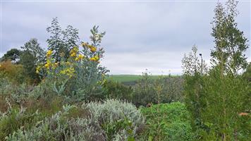 Exceptional Opportunity in Sought-After Caledon Neighbourhood