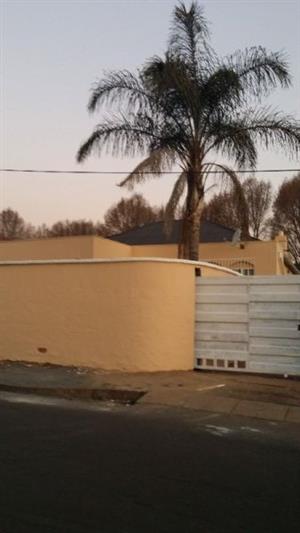 Spacious Cottage With Kitchen And Bathroom To Rent In Orange Grove