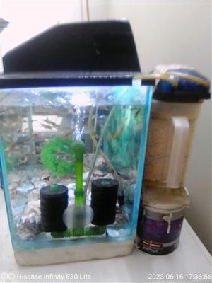 Complete fish tank with pump, light and fish 