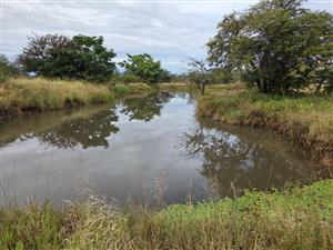 Farm For Sale in Myngenoegen AH