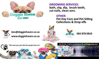 Umhlanga Dog Cat Grooming Parlours Junk Mail