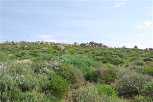 Prime Plot in a Nature-Fringed Estate | Sea Views | Tranquil Setting