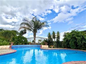 A Warm, Welcoming Home Made for Families