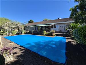 Spacious 5 Bedroom Smallholding in Ashburton with Flatlet & Endless Possibilities